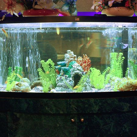 Garden City Inn Bagian luar foto